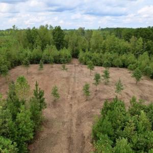 Photo #3 of SOLD property in Off Ronald Tharrington Road, Louisburg, NC 15.8 acres