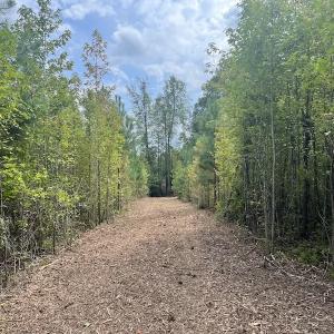 Photo #39 of SOLD property in Off Ronald Tharrington Road, Louisburg, NC 15.8 acres