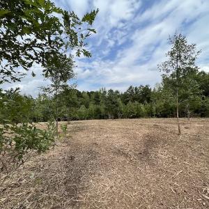 Photo #40 of SOLD property in Off Ronald Tharrington Road, Louisburg, NC 15.8 acres