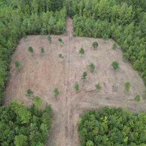 Photo #4 of SOLD property in Off Ronald Tharrington Road, Louisburg, NC 15.8 acres