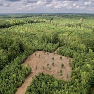 Photo #7 of SOLD property in Off Ronald Tharrington Road, Louisburg, NC 15.8 acres