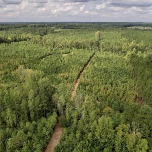 Photo #8 of SOLD property in Off Ronald Tharrington Road, Louisburg, NC 15.8 acres