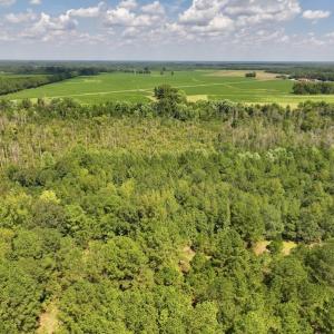 Photo #2 of SOLD property in Off Richland Drive, Pembroke, NC 6.8 acres