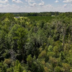 Photo #11 of SOLD property in Off Richland Drive, Pembroke, NC 6.8 acres