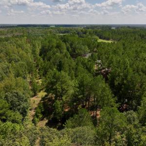 Photo #12 of SOLD property in Off Richland Drive, Pembroke, NC 6.8 acres