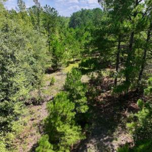 Photo #14 of SOLD property in Off Richland Drive, Pembroke, NC 6.8 acres