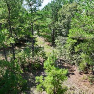 Photo #15 of SOLD property in Off Richland Drive, Pembroke, NC 6.8 acres