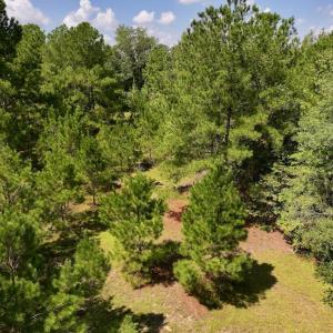 Photo #16 of SOLD property in Off Richland Drive, Pembroke, NC 6.8 acres