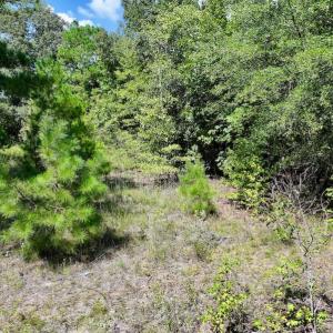 Photo #17 of SOLD property in Off Richland Drive, Pembroke, NC 6.8 acres
