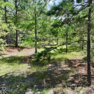 Photo #18 of SOLD property in Off Richland Drive, Pembroke, NC 6.8 acres