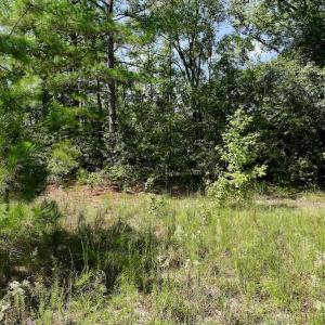 Photo #19 of SOLD property in Off Richland Drive, Pembroke, NC 6.8 acres