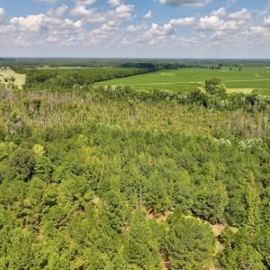 Photo #3 of SOLD property in Off Richland Drive, Pembroke, NC 6.8 acres