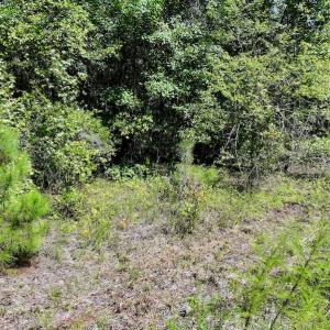 Photo #21 of SOLD property in Off Richland Drive, Pembroke, NC 6.8 acres
