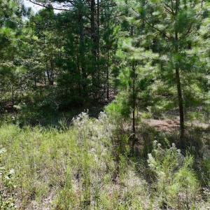Photo #22 of SOLD property in Off Richland Drive, Pembroke, NC 6.8 acres