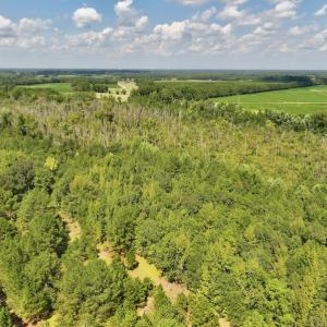 Photo #4 of SOLD property in Off Richland Drive, Pembroke, NC 6.8 acres