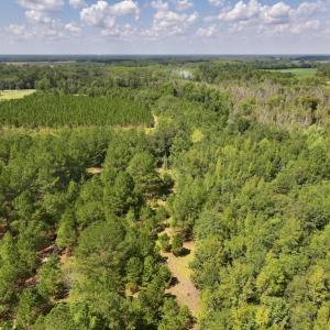 Photo #5 of SOLD property in Off Richland Drive, Pembroke, NC 6.8 acres