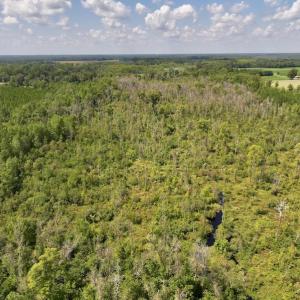 Photo #6 of SOLD property in Off Richland Drive, Pembroke, NC 6.8 acres