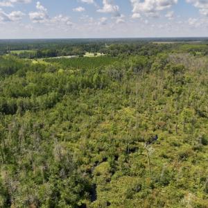 Photo #7 of SOLD property in Off Richland Drive, Pembroke, NC 6.8 acres