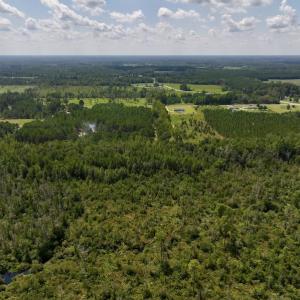 Photo #8 of SOLD property in Off Richland Drive, Pembroke, NC 6.8 acres