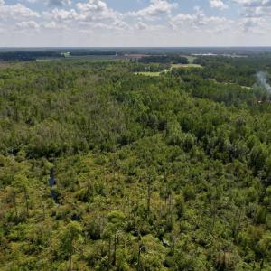 Photo #9 of SOLD property in Off Richland Drive, Pembroke, NC 6.8 acres