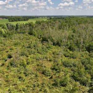 Photo #10 of SOLD property in Off Richland Drive, Pembroke, NC 6.8 acres