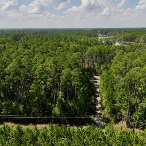 Photo #18 of Off Jarvis Landing Rd, Aurora, NC 8.3 acres