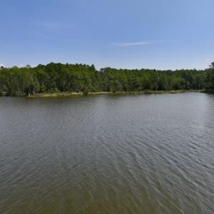 Photo #27 of Off Jarvis Landing Rd, Aurora, NC 8.3 acres