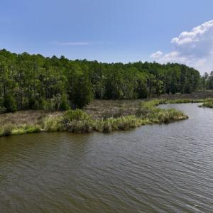 Photo #28 of Off Jarvis Landing Rd, Aurora, NC 8.3 acres