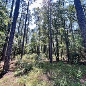 Photo #10 of Off Jarvis Landing Rd, Aurora, NC 8.3 acres