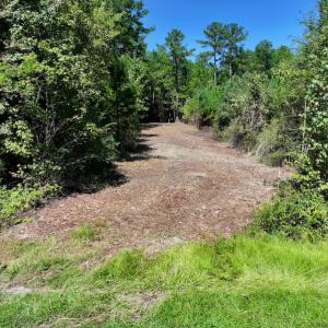 Photo #11 of Off Coon Myrick Rd, Littleton, NC 7.0 acres
