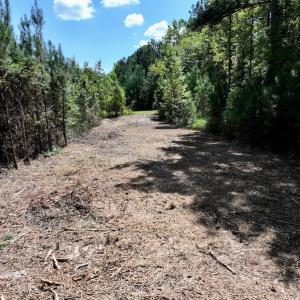 Photo #12 of Off Coon Myrick Rd, Littleton, NC 7.0 acres