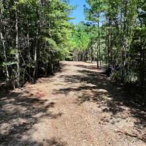Photo #13 of Off Coon Myrick Rd, Littleton, NC 7.0 acres