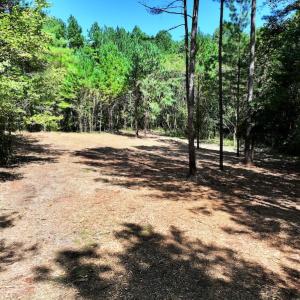 Photo #14 of Off Coon Myrick Rd, Littleton, NC 7.0 acres
