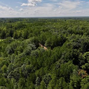 Photo #15 of Off Coon Myrick Rd, Littleton, NC 7.0 acres