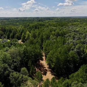 Photo #16 of Off Coon Myrick Rd, Littleton, NC 7.0 acres