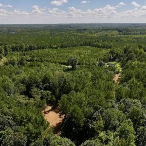 Photo #17 of Off Coon Myrick Rd, Littleton, NC 7.0 acres
