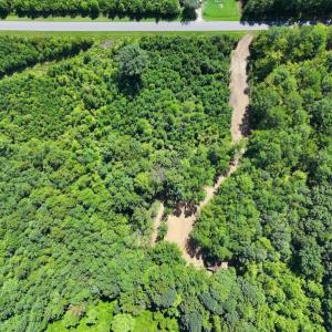 Photo #18 of Off Coon Myrick Rd, Littleton, NC 7.0 acres