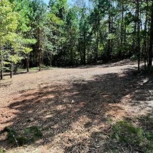 Photo #22 of Off Coon Myrick Rd, Littleton, NC 7.0 acres