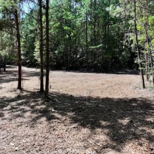 Photo #23 of Off Coon Myrick Rd, Littleton, NC 7.0 acres