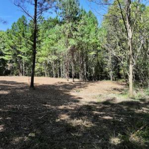 Photo #26 of Off Coon Myrick Rd, Littleton, NC 7.0 acres