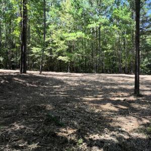 Photo #27 of Off Coon Myrick Rd, Littleton, NC 7.0 acres