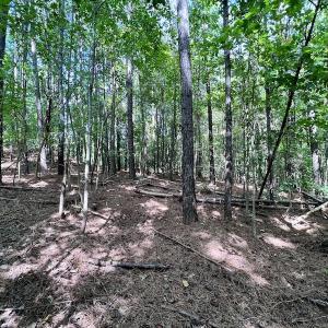 Photo #30 of SOLD property in Off Coon Myrick Rd, Littleton, NC 7.0 acres