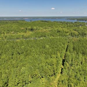 Photo #7 of Off Coon Myrick Rd, Littleton, NC 7.0 acres