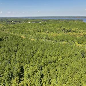 Photo #8 of Off Coon Myrick Rd, Littleton, NC 7.0 acres