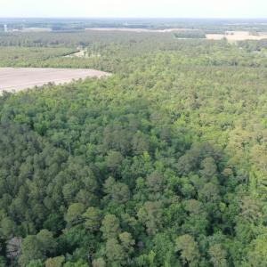 Photo #7 of Off N Carolina Highway 58, Kinston, NC 4.4 acres
