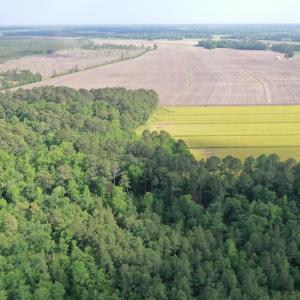 Photo #8 of Off N Carolina Highway 58, Kinston, NC 4.4 acres