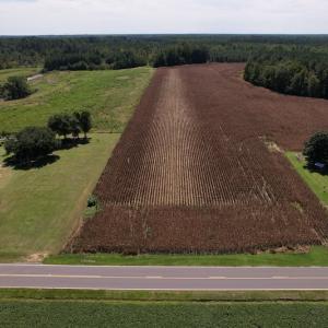 Photo #2 of Off Bailey Road, Fairmont, NC 1.0 acres