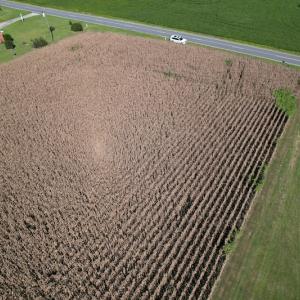 Photo #3 of Off Bailey Road, Fairmont, NC 1.0 acres