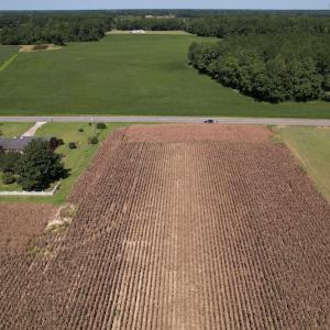 Photo #4 of Off Bailey Road, Fairmont, NC 1.0 acres