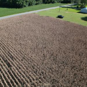 Photo #5 of Off Bailey Road, Fairmont, NC 1.0 acres